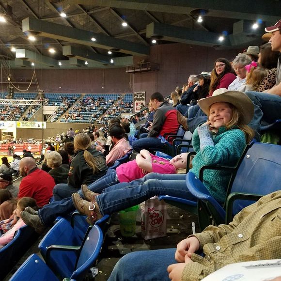 Meet your Posher, Dusty - Picture 1 of 1